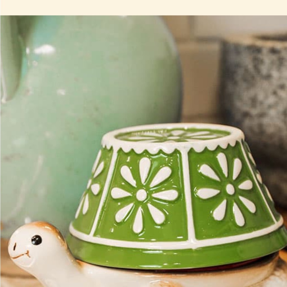 Viral Cracker Barrel Turtle Measuring Cups